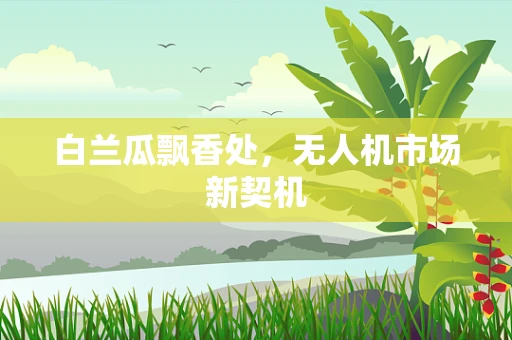 白兰瓜飘香处，无人机市场新契机