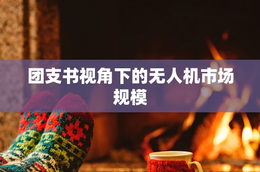 团支书视角下的无人机市场规模