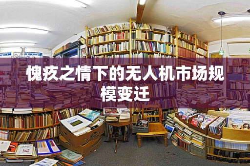 愧疚之情下的无人机市场规模变迁
