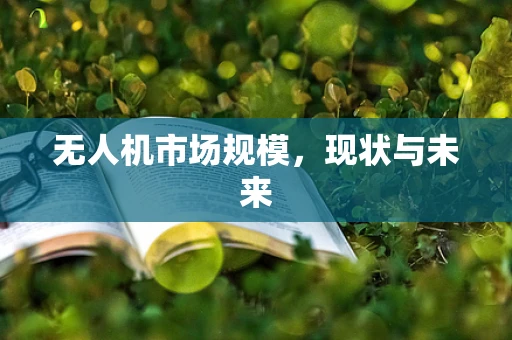 无人机市场规模，现状与未来