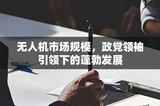 无人机市场规模，政党领袖引领下的蓬勃发展