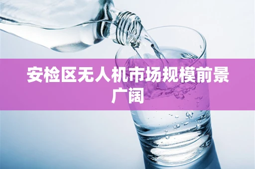 安检区无人机市场规模前景广阔