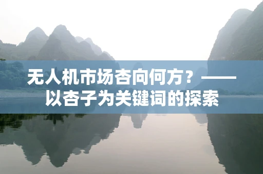 无人机市场杏向何方？——以杏子为关键词的探索