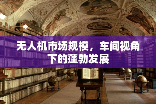 无人机市场规模，车间视角下的蓬勃发展