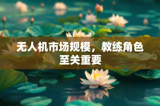 无人机市场规模，教练角色至关重要