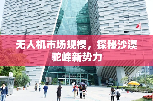 无人机市场规模，探秘沙漠驼峰新势力