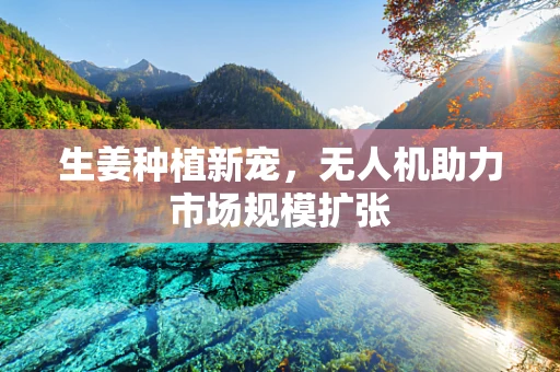 生姜种植新宠，无人机助力市场规模扩张