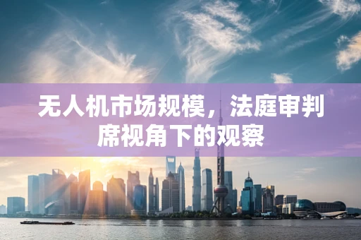 无人机市场规模，法庭审判席视角下的观察