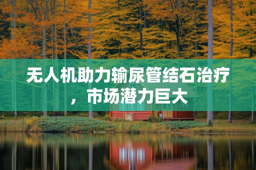无人机助力输尿管结石治疗，市场潜力巨大