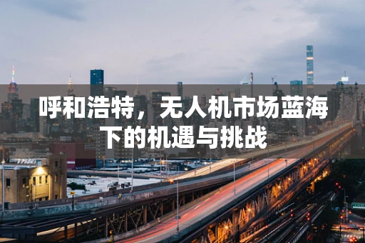 呼和浩特，无人机市场蓝海下的机遇与挑战