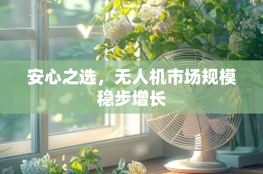 安心之选，无人机市场规模稳步增长