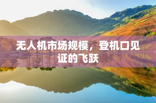 无人机市场规模，登机口见证的飞跃