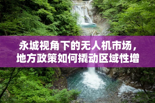 永城视角下的无人机市场，地方政策如何撬动区域性增长？