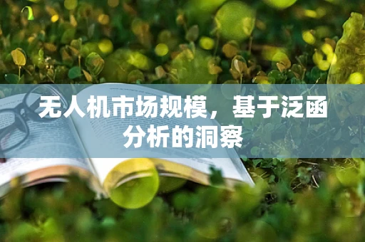 无人机市场规模，基于泛函分析的洞察
