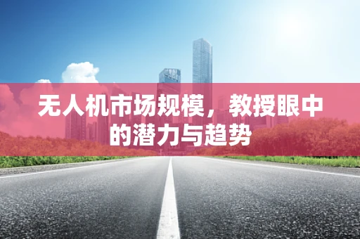 无人机市场规模，教授眼中的潜力与趋势
