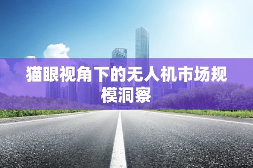猫眼视角下的无人机市场规模洞察