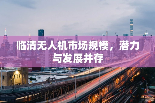临清无人机市场规模，潜力与发展并存