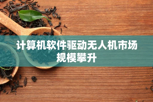 计算机软件驱动无人机市场规模攀升