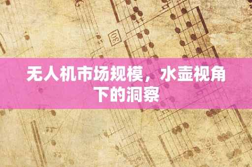 无人机市场规模，水壶视角下的洞察