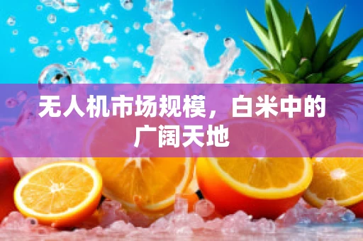 无人机市场规模，白米中的广阔天地