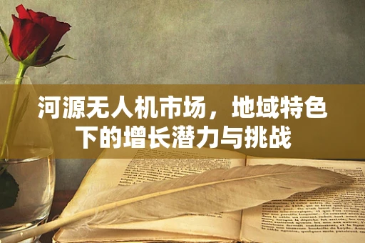 河源无人机市场，地域特色下的增长潜力与挑战