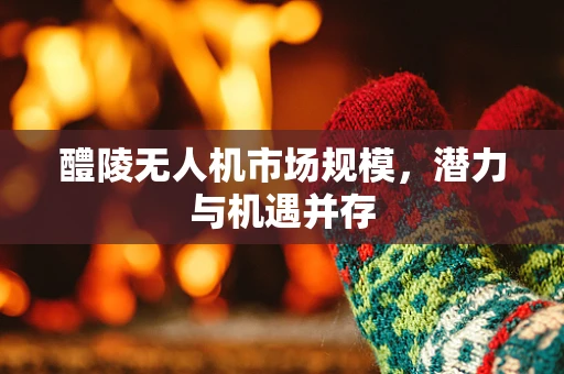 醴陵无人机市场规模，潜力与机遇并存