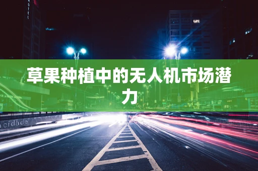 草果种植中的无人机市场潜力