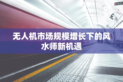 无人机市场规模增长下的风水师新机遇