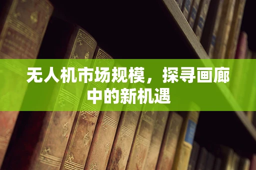 无人机市场规模，探寻画廊中的新机遇