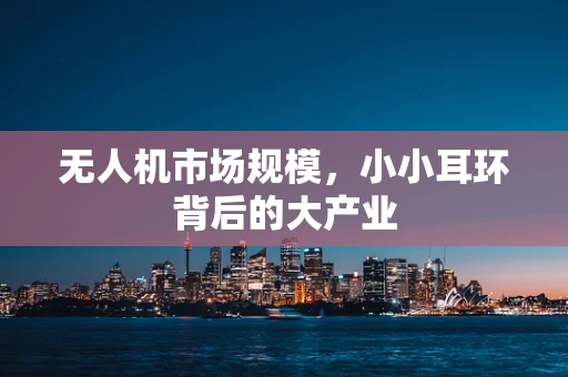 无人机市场规模，小小耳环背后的大产业