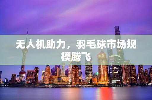无人机助力，羽毛球市场规模腾飞