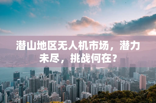 潜山地区无人机市场，潜力未尽，挑战何在？