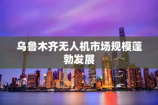 乌鲁木齐无人机市场规模蓬勃发展