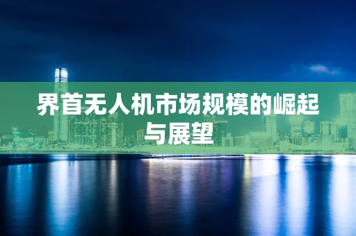 界首无人机市场规模的崛起与展望
