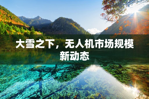 大雪之下，无人机市场规模新动态