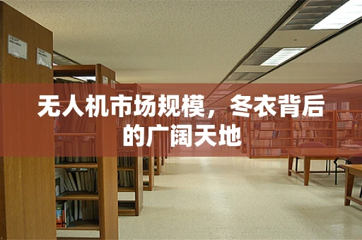 无人机市场规模，冬衣背后的广阔天地