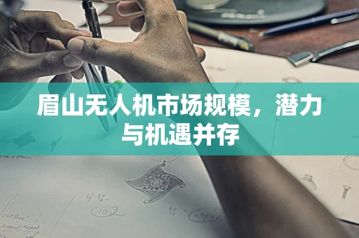 眉山无人机市场规模，潜力与机遇并存