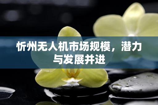 忻州无人机市场规模，潜力与发展并进