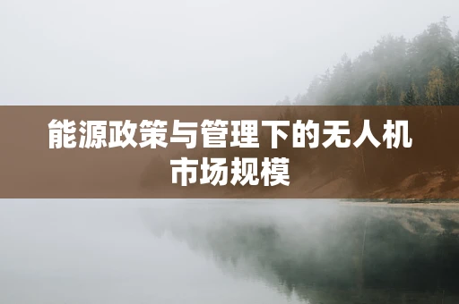能源政策与管理下的无人机市场规模