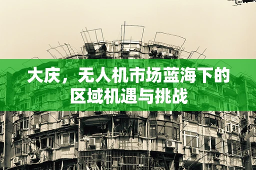 大庆，无人机市场蓝海下的区域机遇与挑战