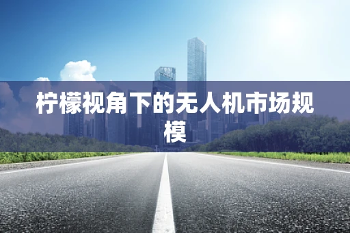 柠檬视角下的无人机市场规模