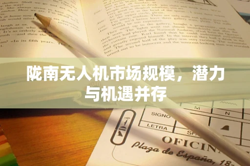 陇南无人机市场规模，潜力与机遇并存