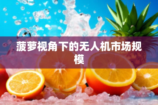 菠萝视角下的无人机市场规模
