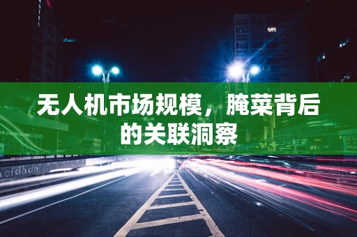 无人机市场规模，腌菜背后的关联洞察