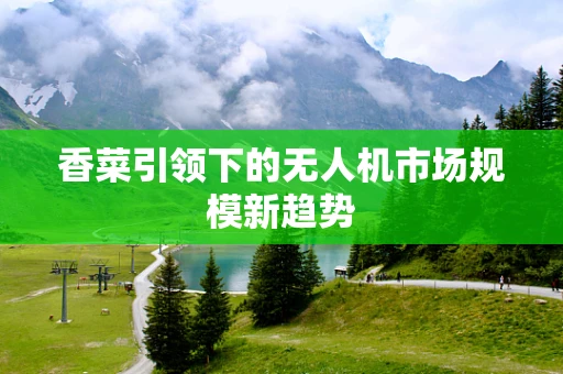 香菜引领下的无人机市场规模新趋势