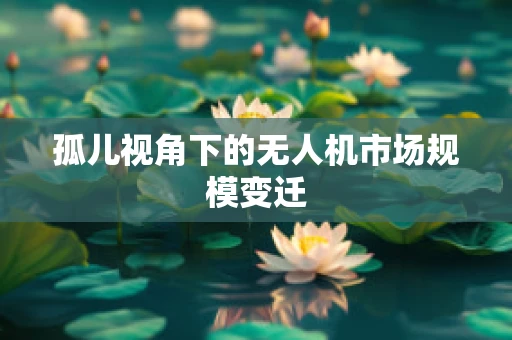 孤儿视角下的无人机市场规模变迁