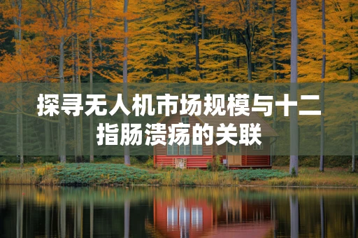 探寻无人机市场规模与十二指肠溃疡的关联