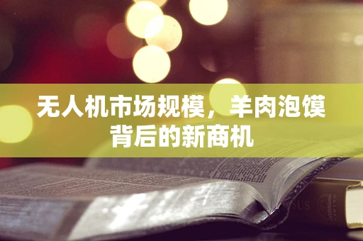 无人机市场规模，羊肉泡馍背后的新商机