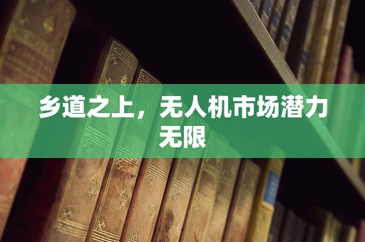 乡道之上，无人机市场潜力无限