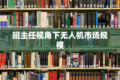 班主任视角下无人机市场规模